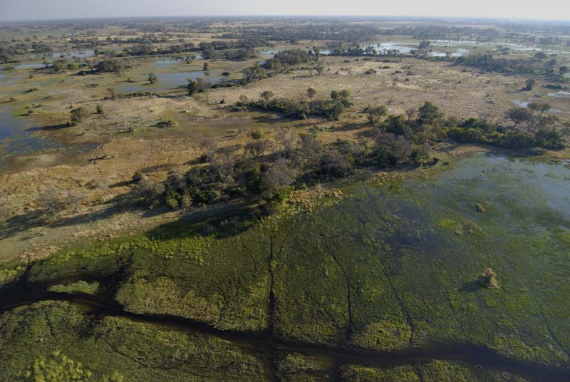 0083_Botswana_Maun_Okavongo
