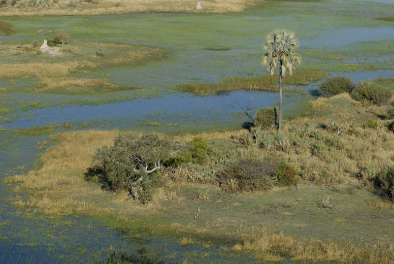 0092_Botswana_Maun_Okavongo