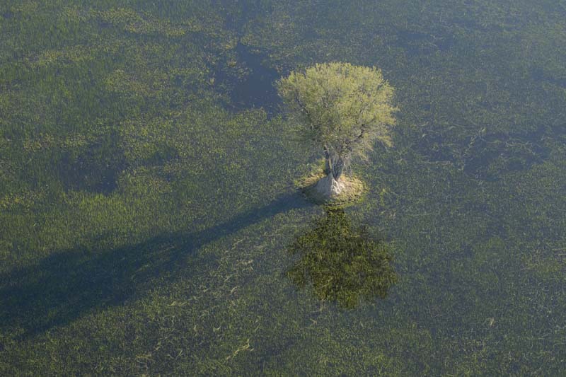 0147_Botswana_Maun_Okavongo