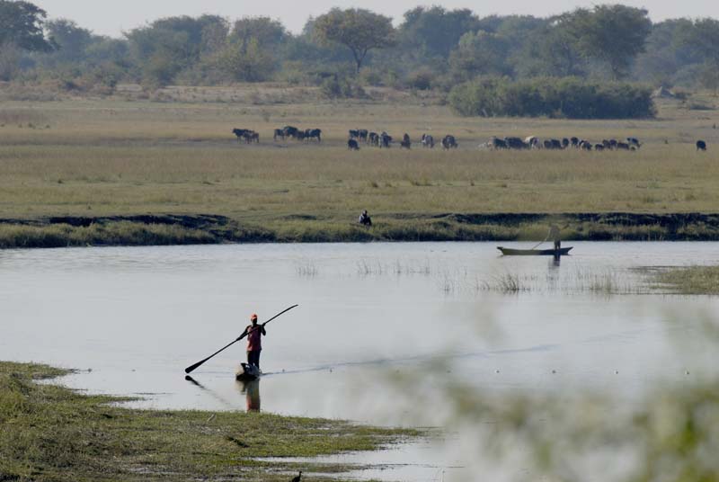 3415_Botswana_Savuti_Mokoros