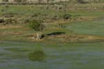 0298_Botswana_Maun_Okavongo