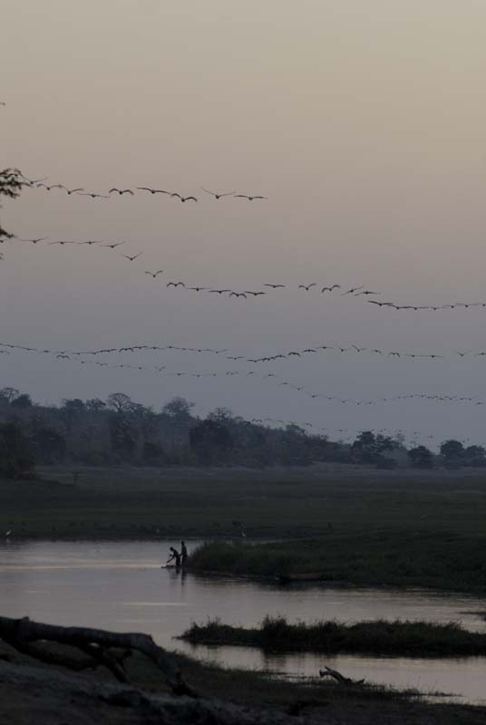 3530_Botswana_Savuti_Mokoros