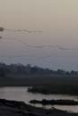 3530_Botswana_Savuti_Mokoros