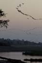 3532_Botswana_Savuti_Mokoros