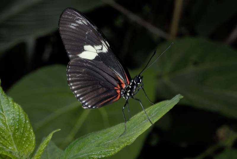 0138_CostaRica_La_Paz_