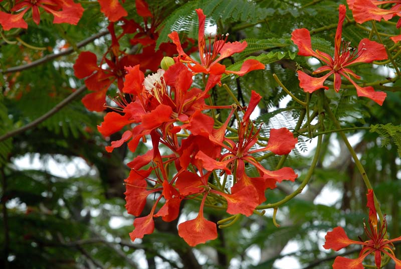 19_4083_GALAPAGOS_SANTA_CRUZ