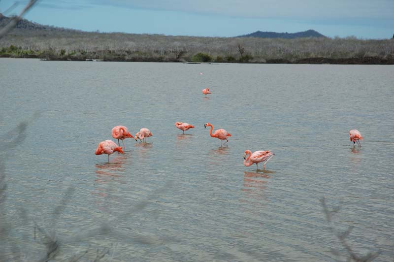 2539_GALAPAGOS_FLOREANA