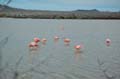 2539_GALAPAGOS_FLOREANA