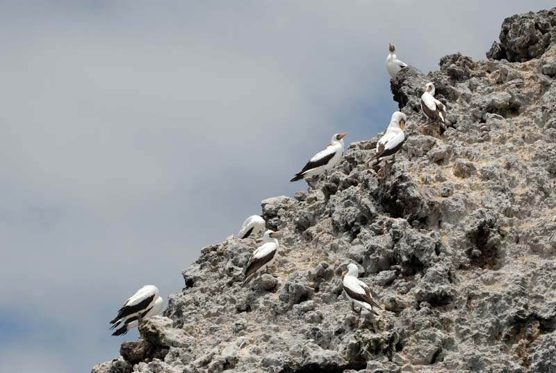 2578_GALAPAGOS_FLOREANA