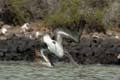 05_3456_GALAPAGOS_SANTA_FE