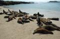 3272_GALAPAGOS_SANTA_FE
