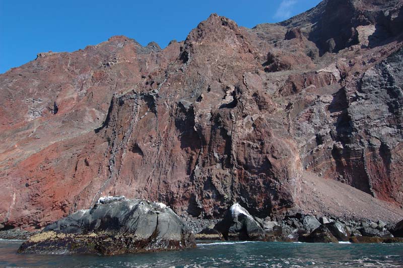 1574_GALAPAGOS_ISABELA_FERNANDINA