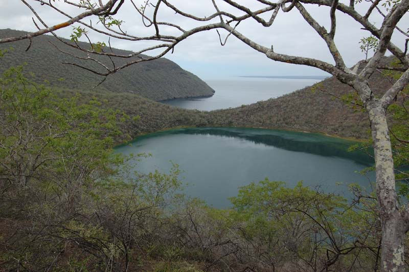 1885_GALAPAGOS_ISABELA