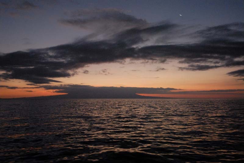 2145_GALAPAGOS_ISABELA