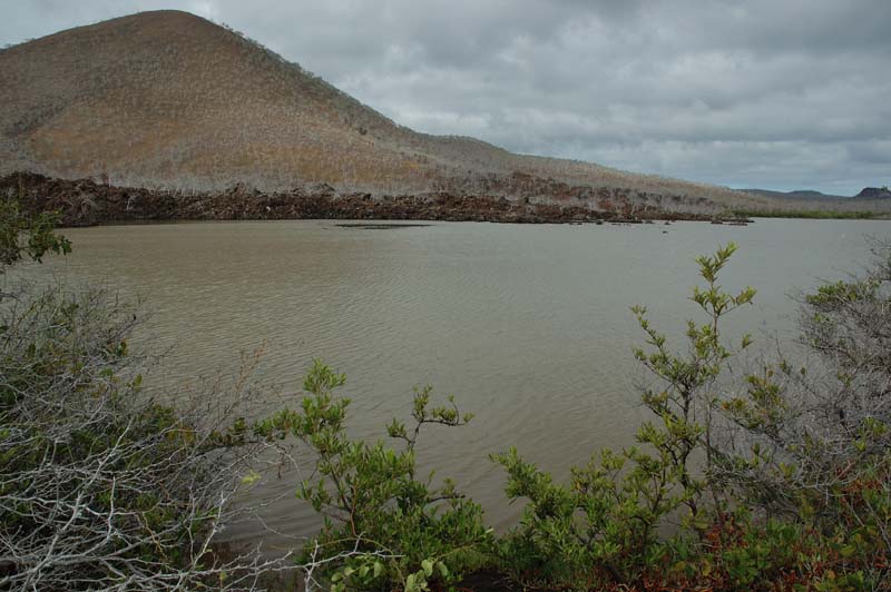 2381_GALAPAGOS_FLOREANA