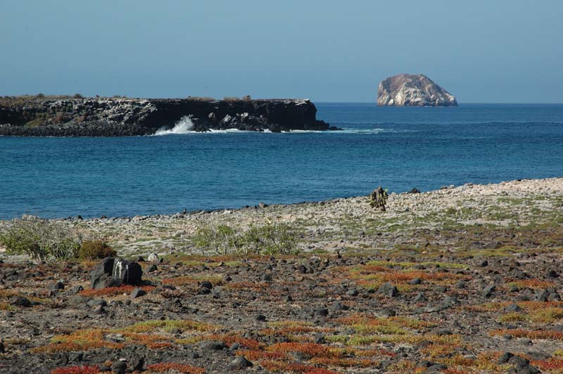 3772_GALAPAGOS_PLAZA_SUD
