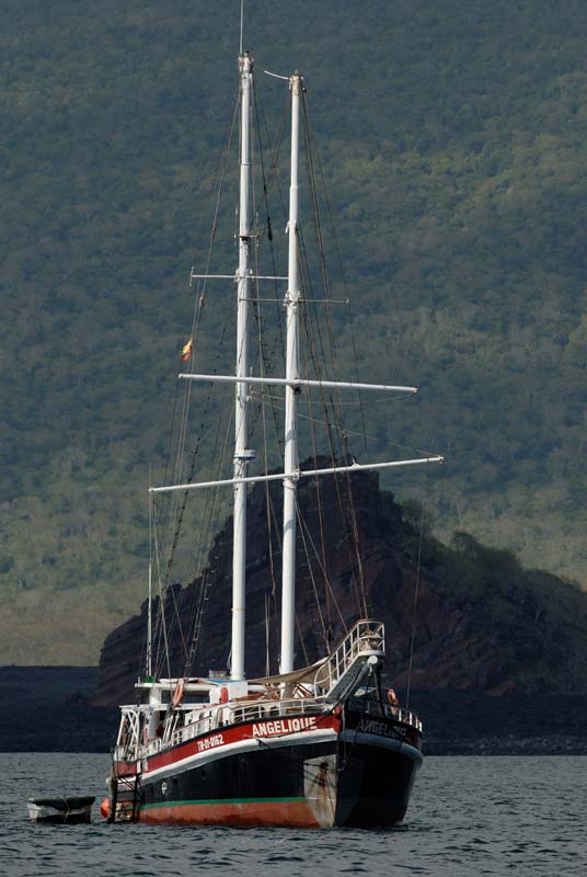 71_1375_GALAPAGOS_SANTIAGO_RABIDA