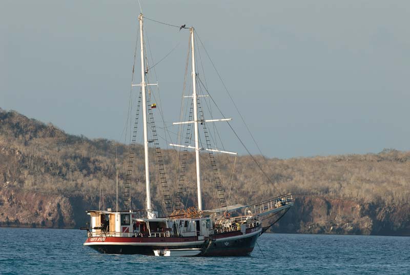 74_3156_GALAPAGOS_ESPAGNOLA