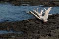 0971_GALAPAGOS_BARTOLOME