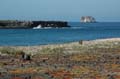 3772_GALAPAGOS_PLAZA_SUD