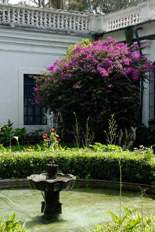23_4477_QUITO_OTAVALO