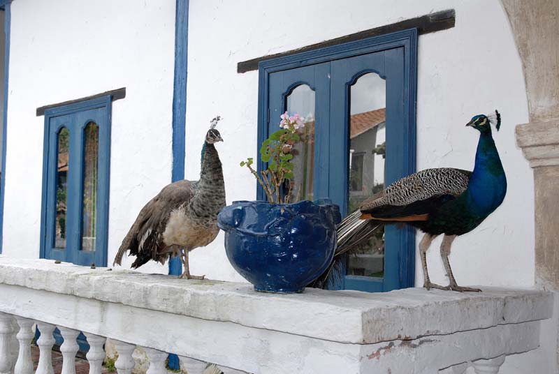 25_4469_QUITO_OTAVALO